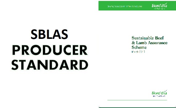 SBLAS Standard Rev 1.0